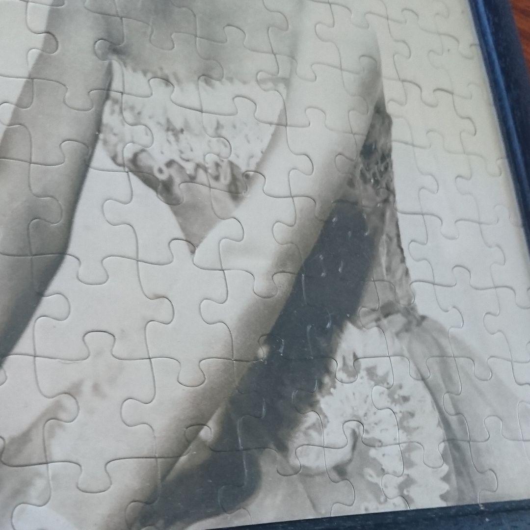 レア物！オードリーヘップバーンのパズル！パネル！