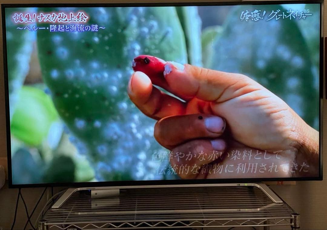 テレビ REGZA 55Z700X