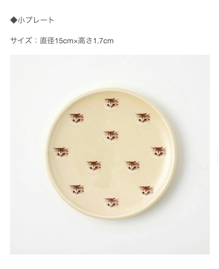 有田焼き×ポール&ジョー　コラボ　皿　セット