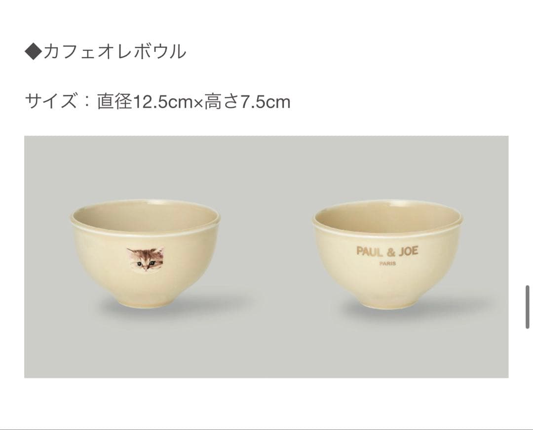 有田焼き×ポール&ジョー　コラボ　皿　セット