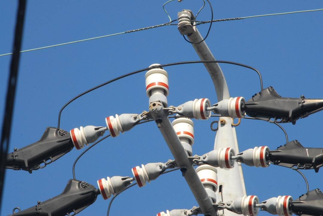 【作例あり】大迫力の超望遠♪TAMRON AF 200-400mm　Nikon用