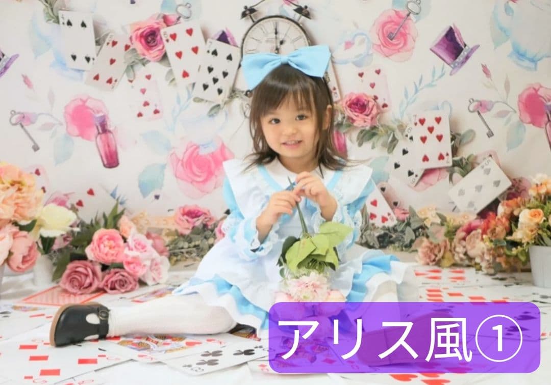 背景布【秋XA】サンプル80×120cm　ペット撮影用ブース　運動会　お月見