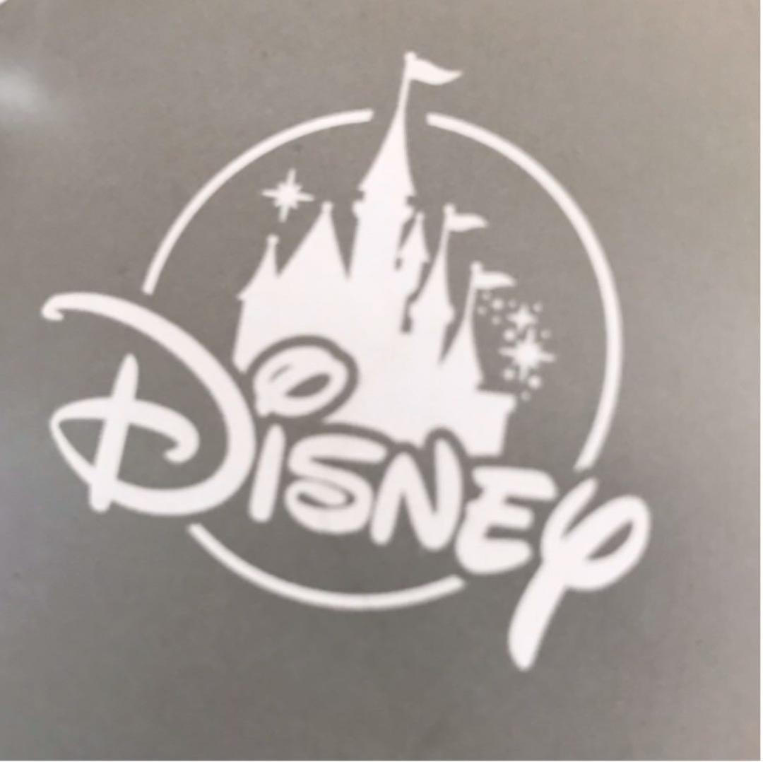 新品☆Disney ディズニー×サーモス ランチボックスセット ピンク