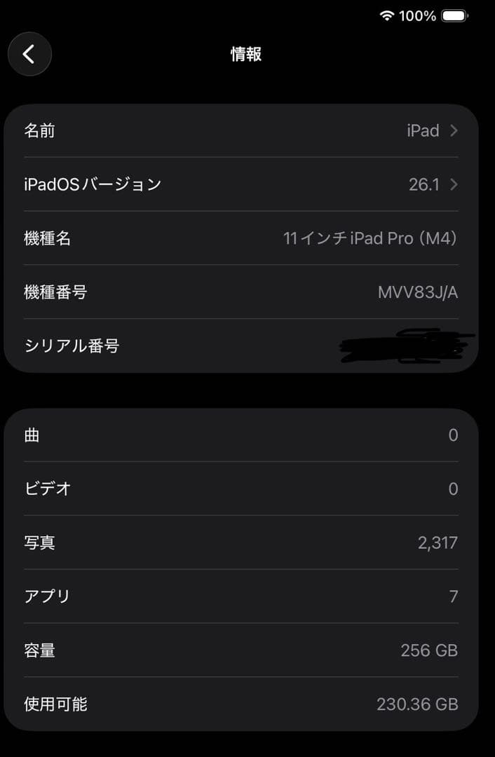 【最終値下げ】11インチ iPad Pro M4 256GB Wi-Fi