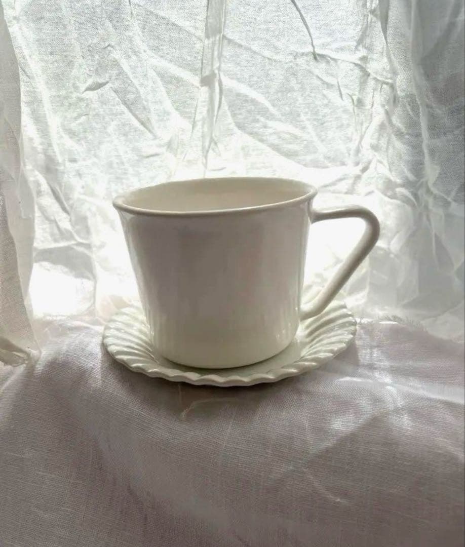 入手困難　新品　安藤雅信　プレート艶　ハグオーワー　雅姫　安福由美子　アスティエ