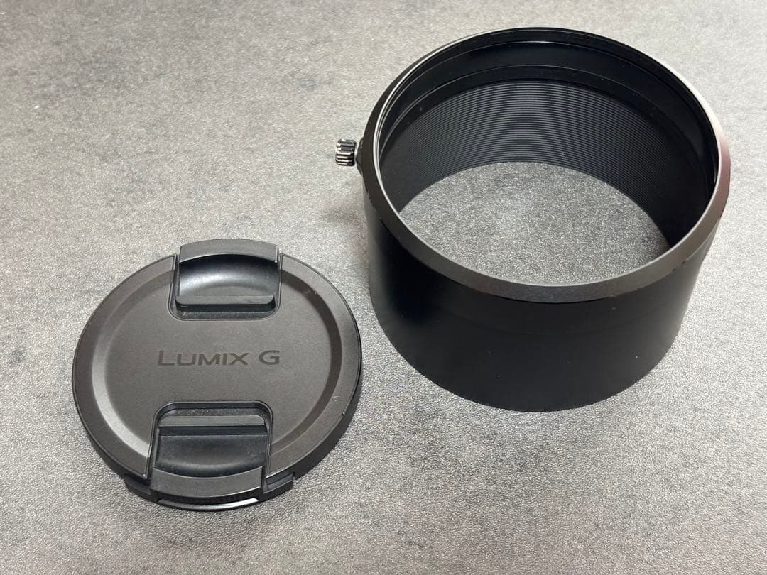 パナソニック LEICA DG VARIO-ELMAR 100-400mm