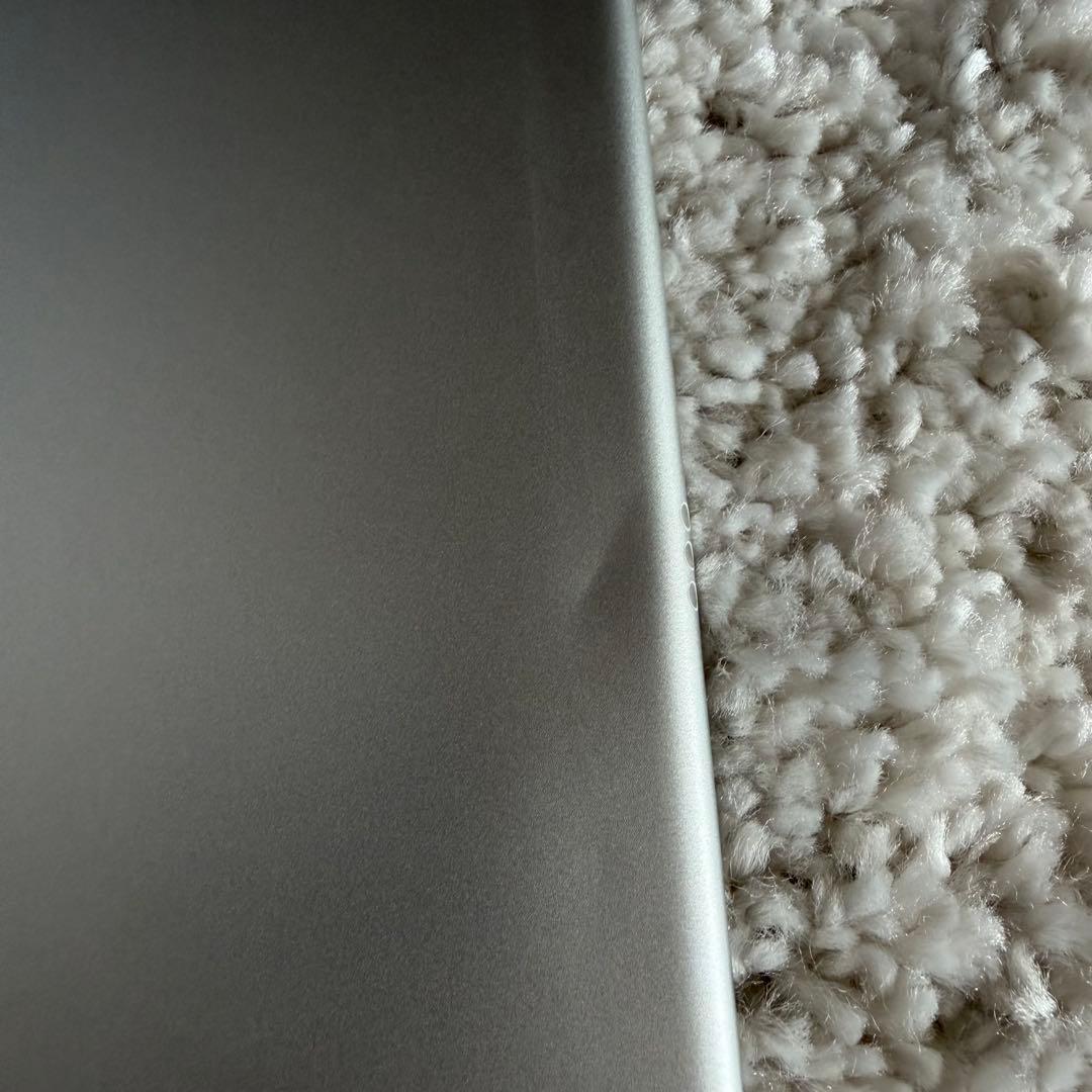 Apple iPad Pro 10.5インチ 第1世代 256GB シルバー