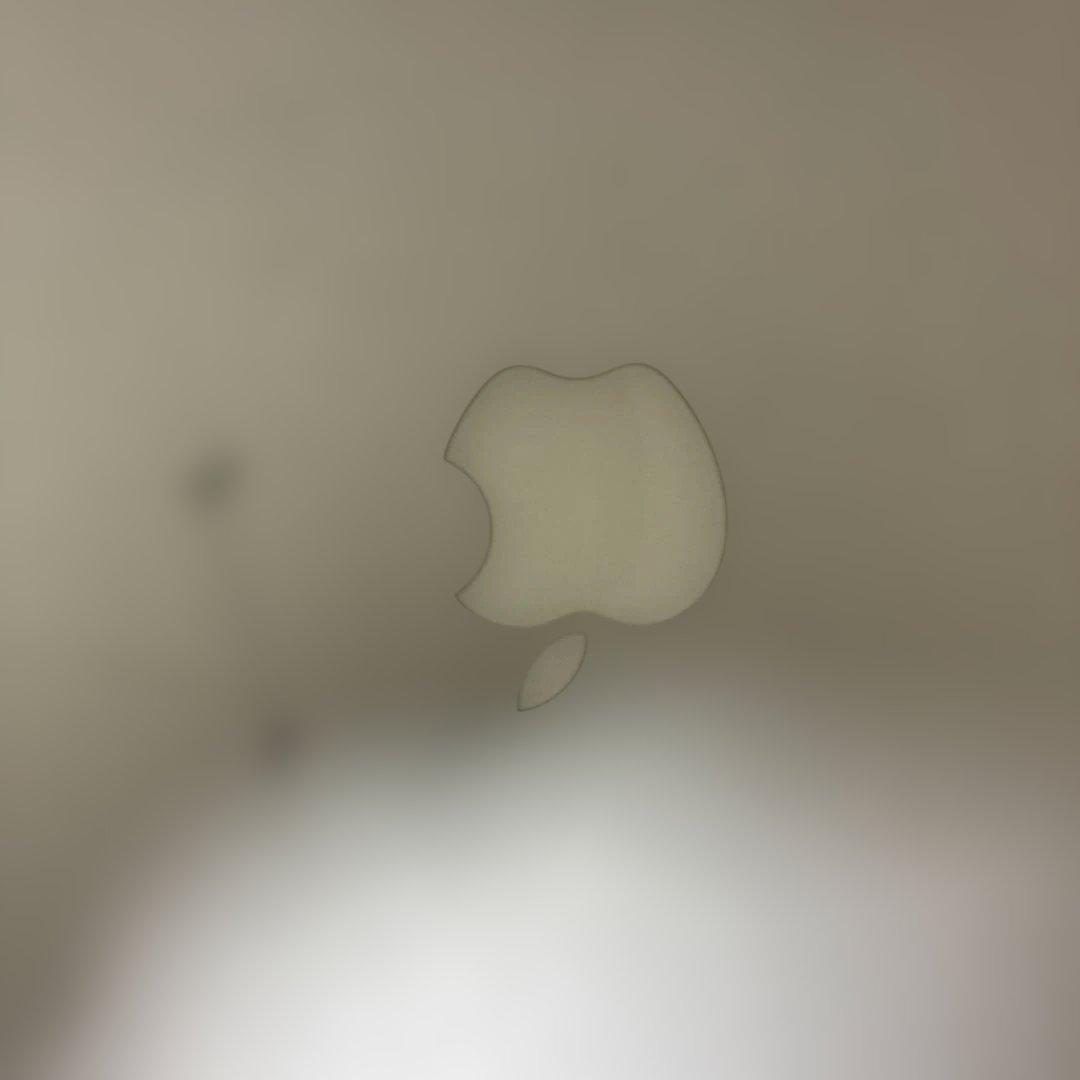 Mac Book Air 2013年製 2015年購入 OS:Big sur