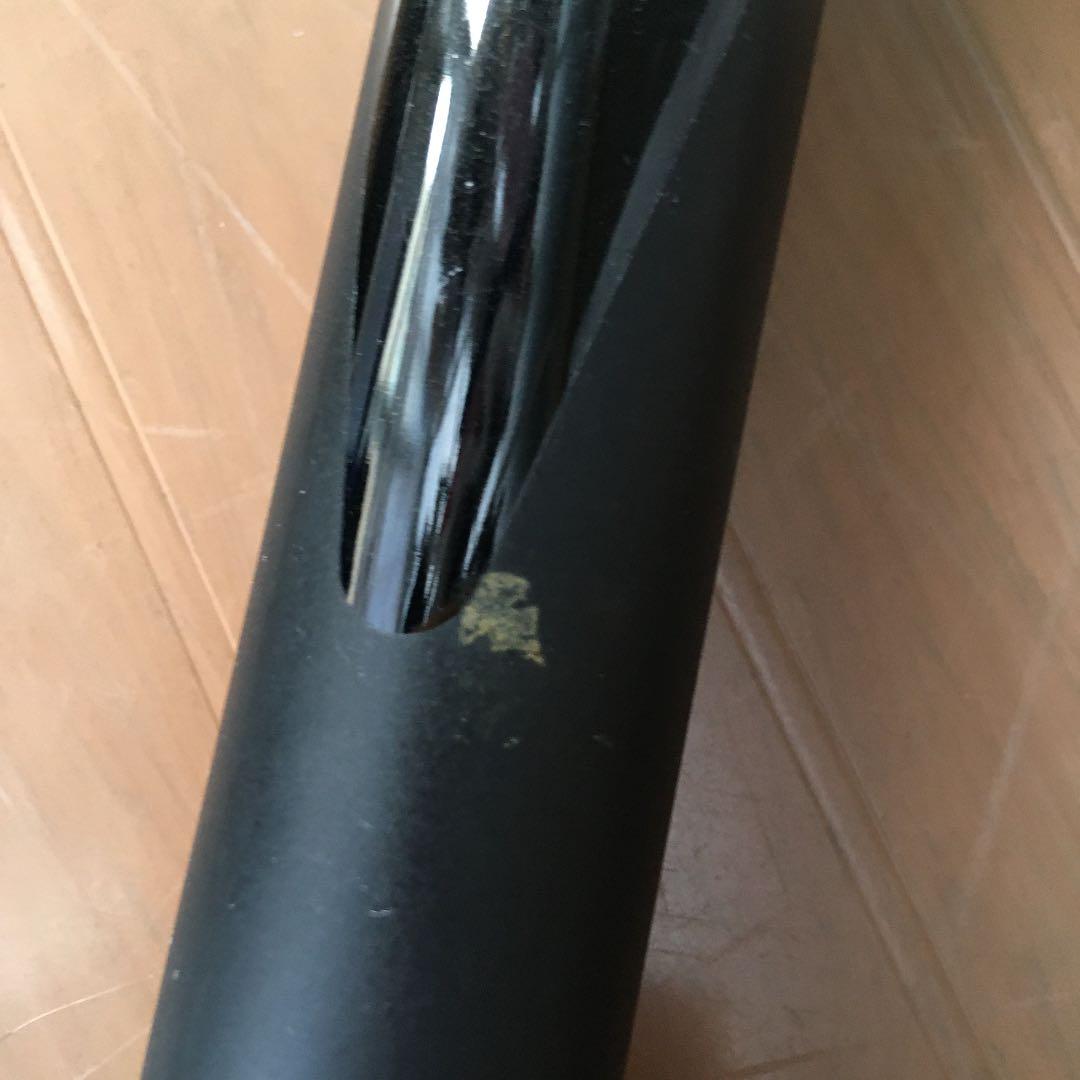 宇崎日新　本流竿