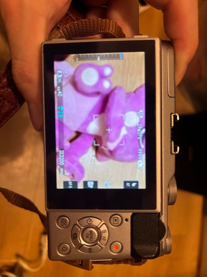 FUJIFILM X-A5 ボディのみ