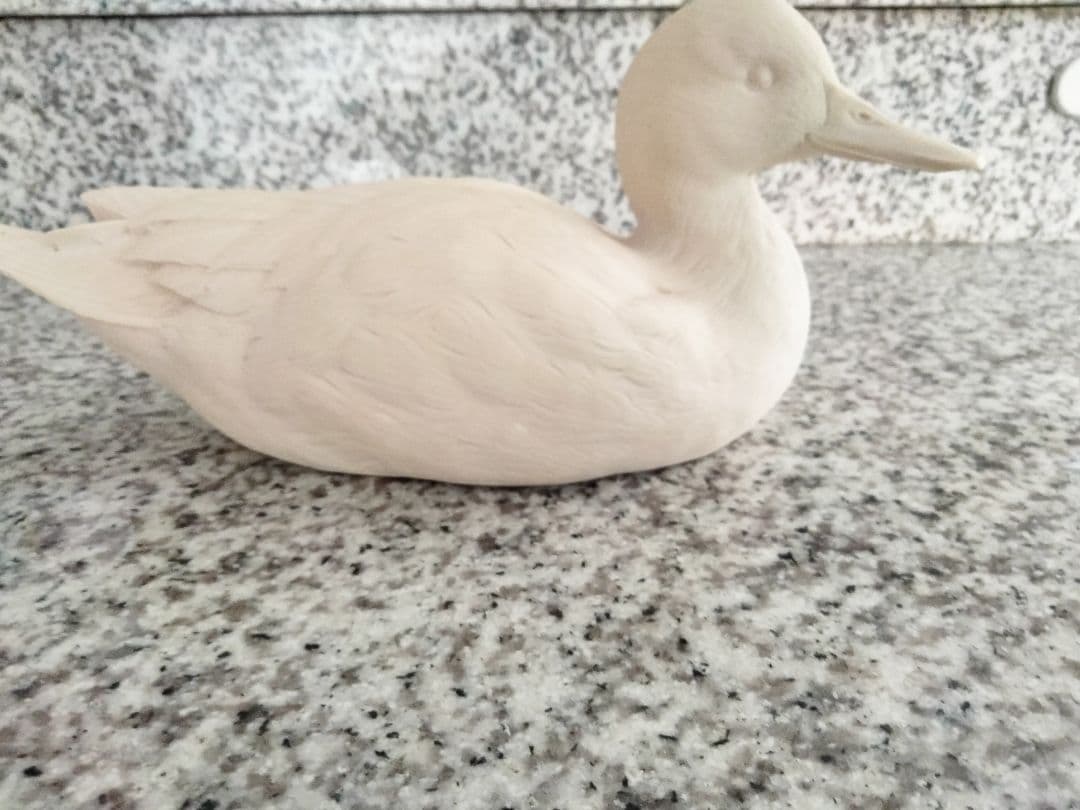 スタディバードアメリカヒドリ　バードカービング