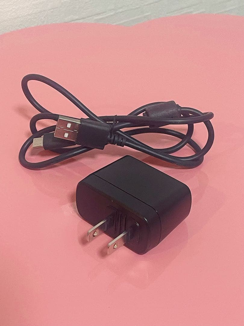 Panasonic LUMIX G100 DC-G100 ダブルズームキット