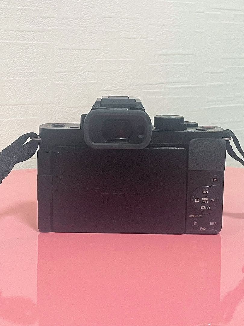Panasonic LUMIX G100 DC-G100 ダブルズームキット