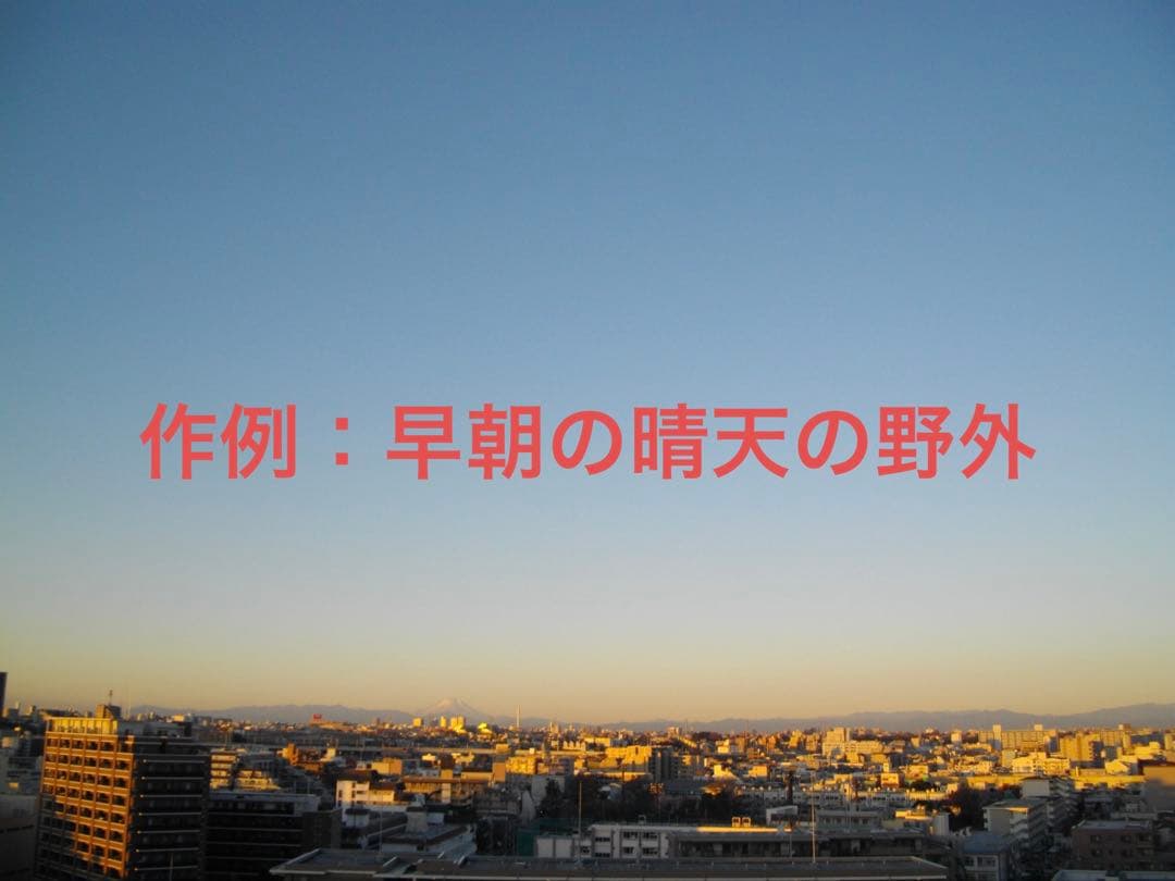 極上品【動作確認済】PENTAX ペンタックス Optio E90 レトロカメラ