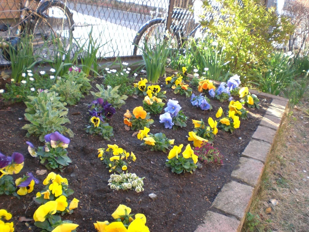 実写美⭕️【動作確認済】CASIO カシオ EXILIM EX-Z75