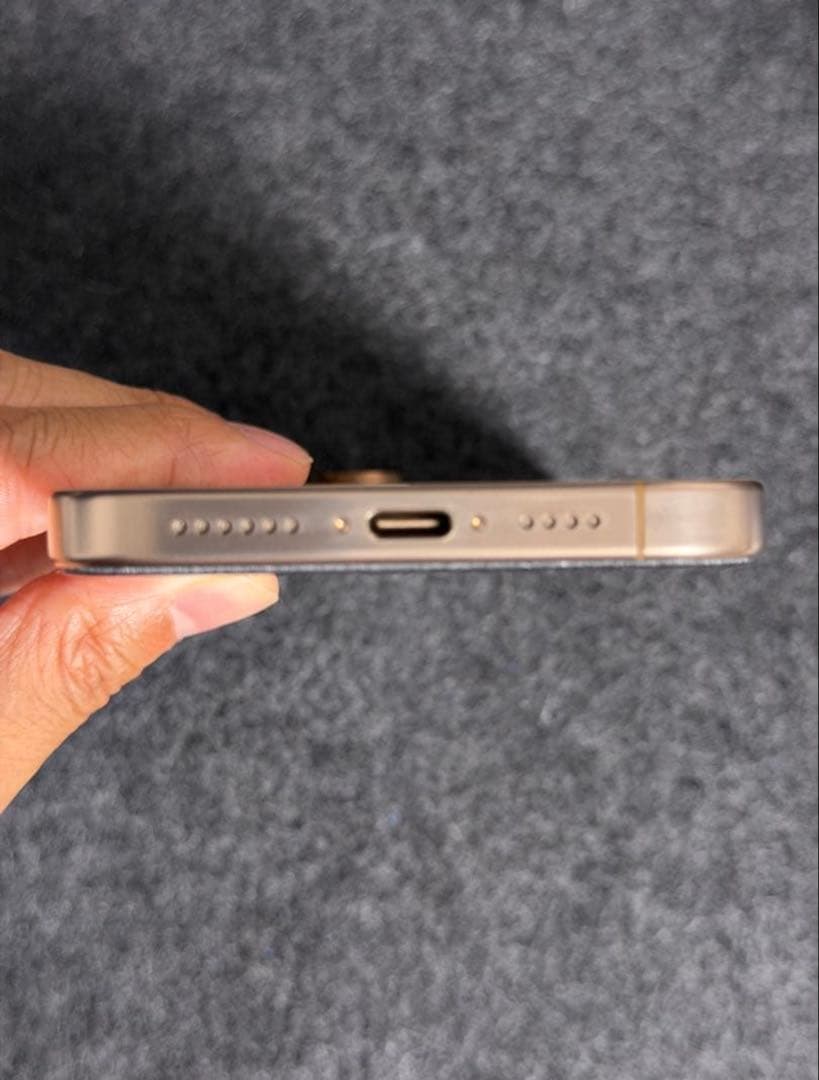 ［US版•盗難紛失プラン付］iPhone 16 Pro Max 1TB +α