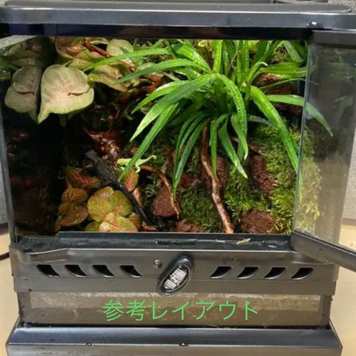 イモリウムオーダー作成いたします。