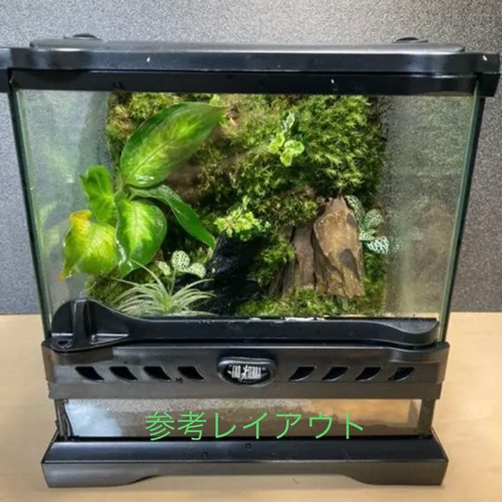 イモリウムオーダー作成いたします。