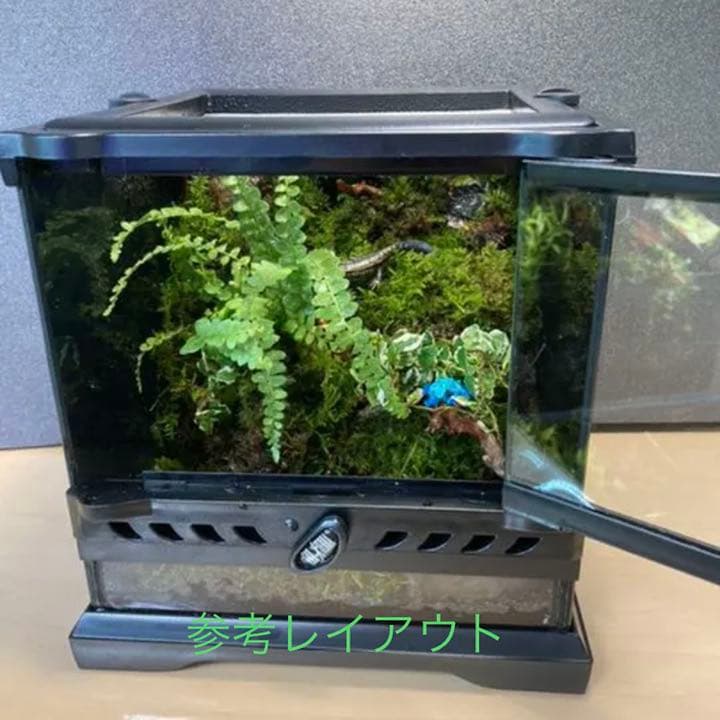 イモリウムオーダー作成いたします。