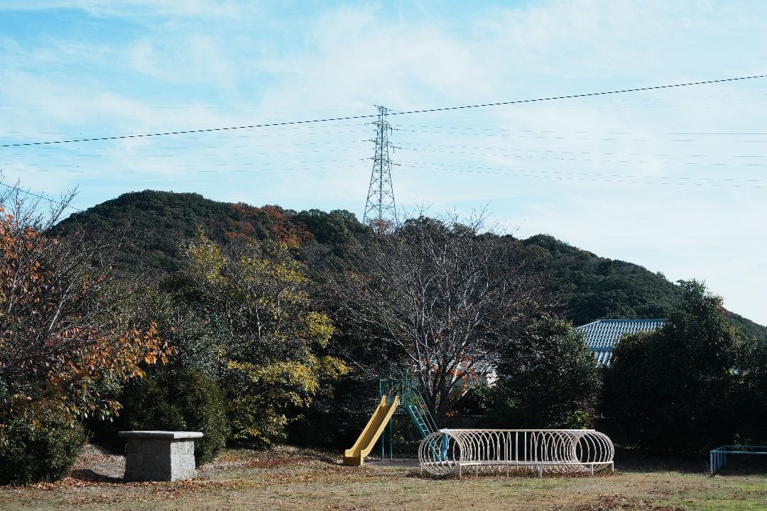 【整備＆テスト済】Nikon Ai Nikkor 50mm F1.4 221