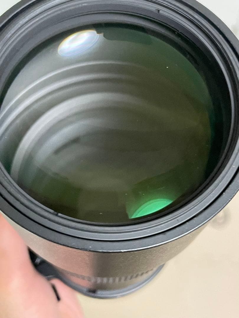 セットAF-S NIKKOR 300mm f/4D EDとテレコンTC-17EⅡ