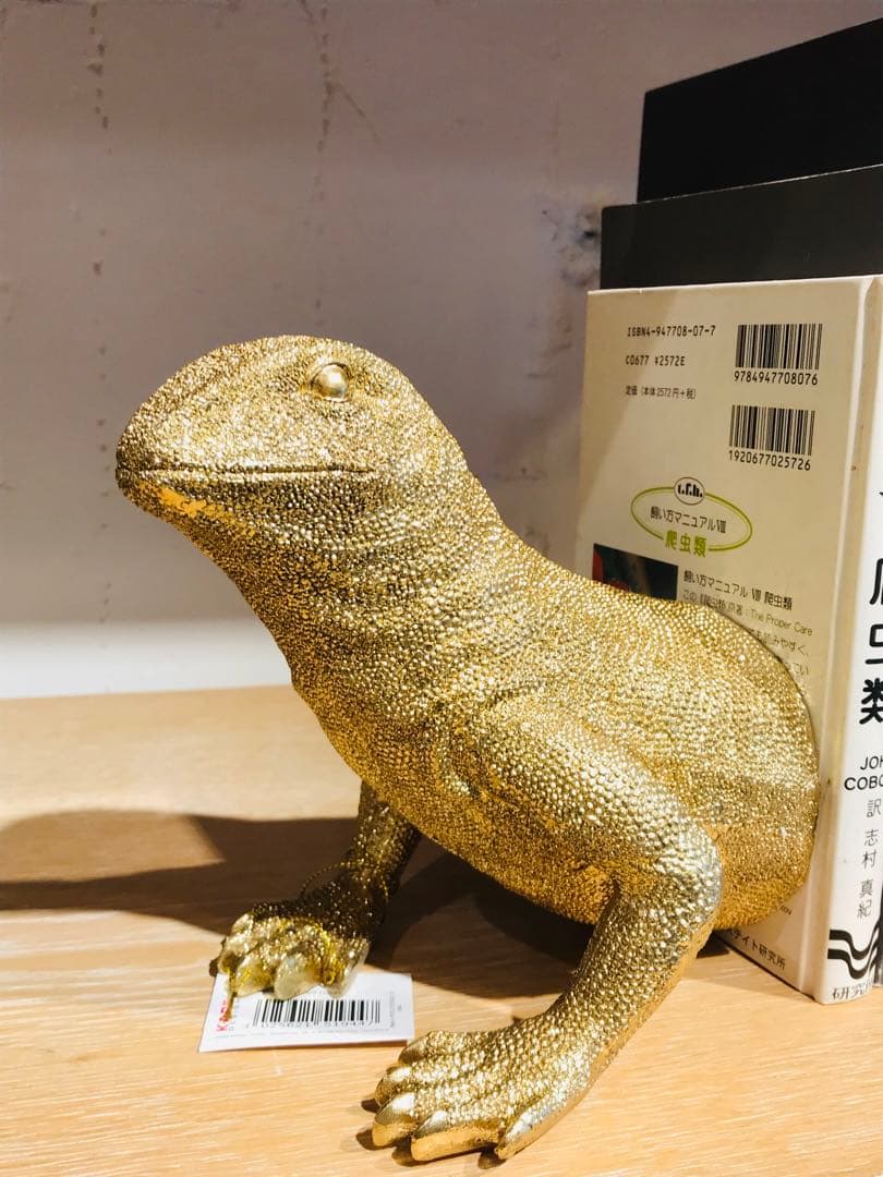 kare エレガントでユーモアのある爬虫類型ブックエンド