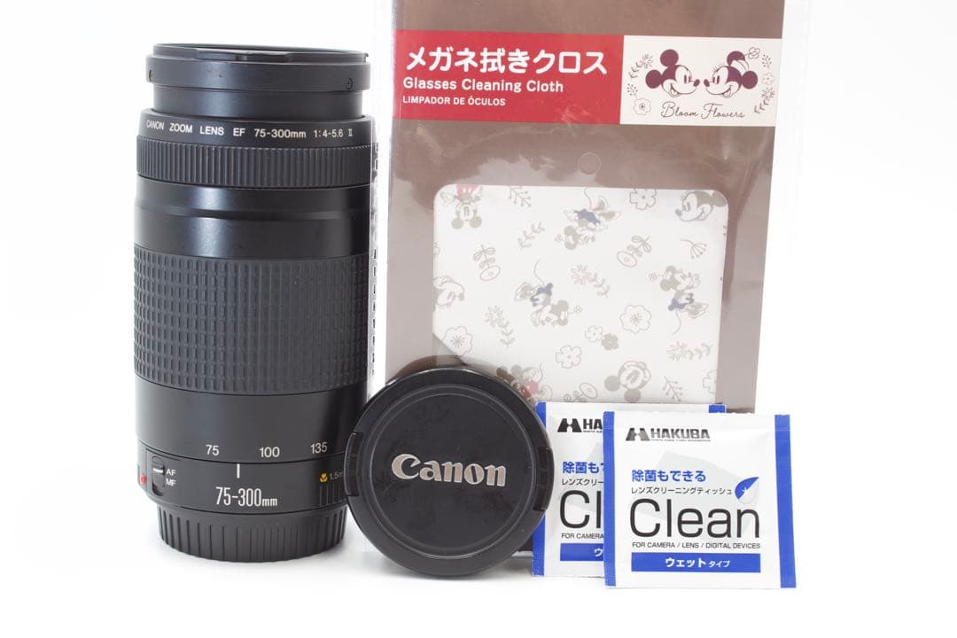 美品❣️Canon EF 75-300mm Ⅱ ✨超望遠レンズ　運動会　風景