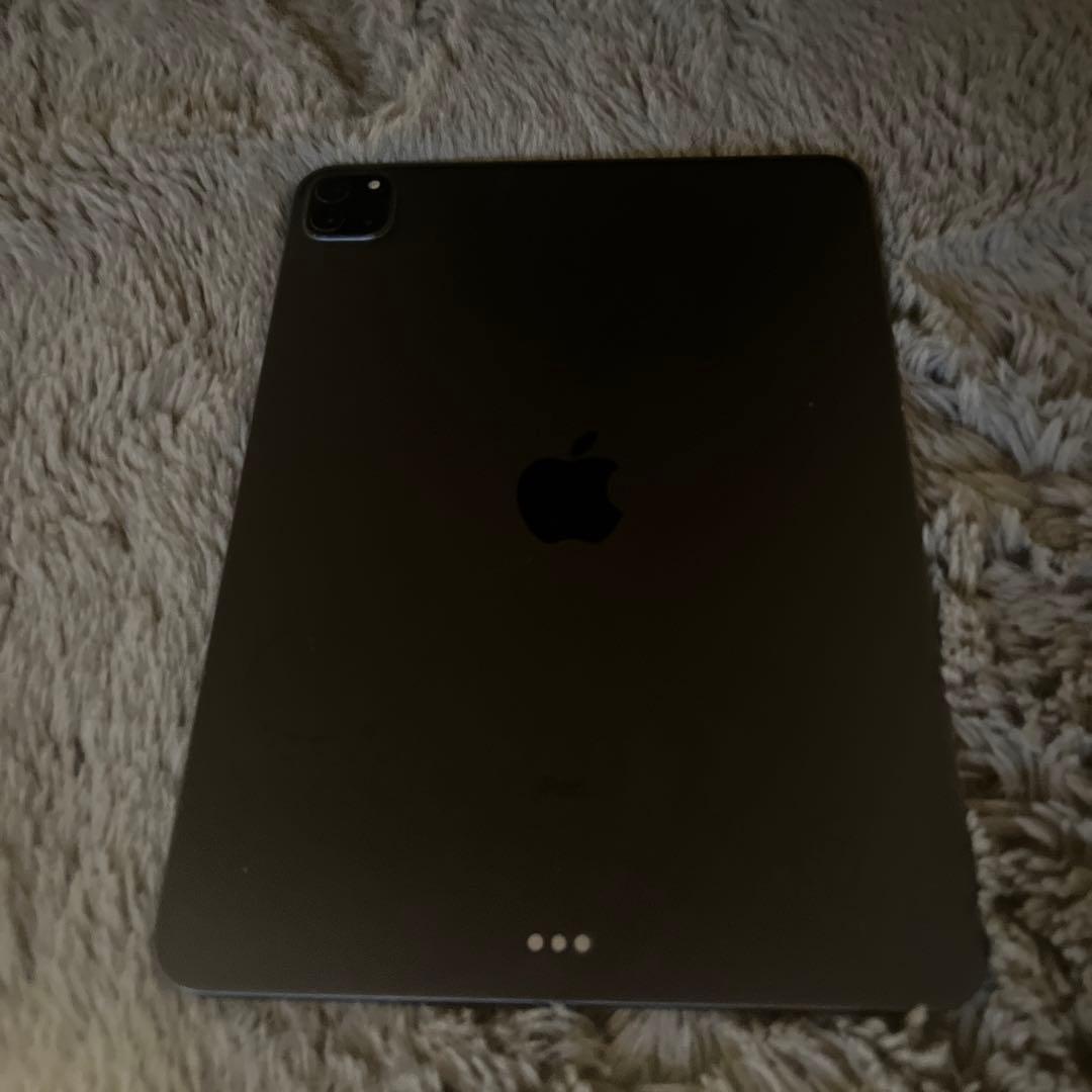Apple iPad Pro  11  第二世代　　256GB