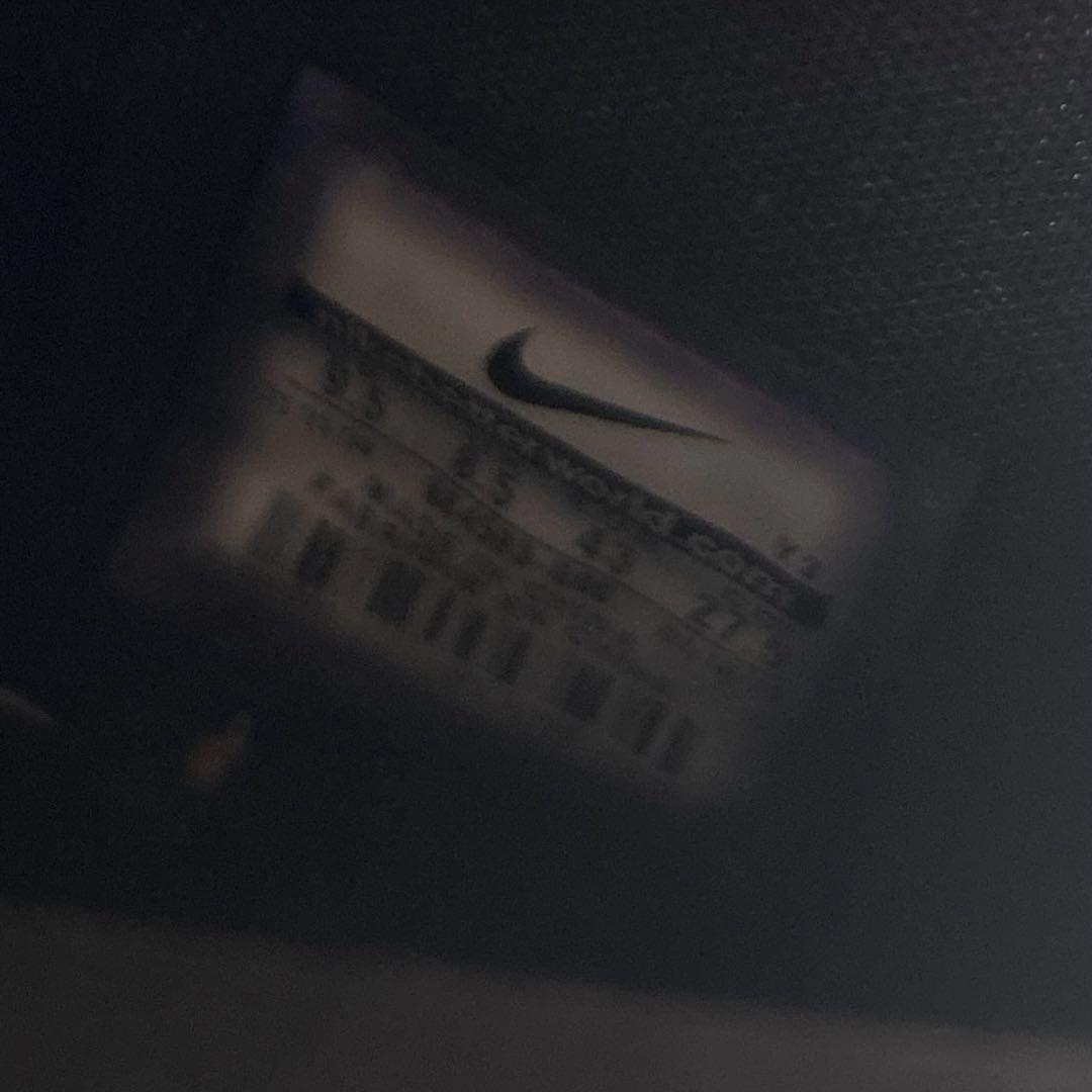 激レア　Nike レブロンモデル　レブロン12 バッシュ 27.5cm