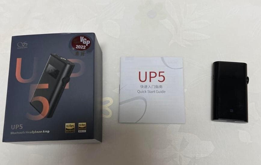 イヤホン Astell&Kern AK T8iE Mk II + Shanling UP5