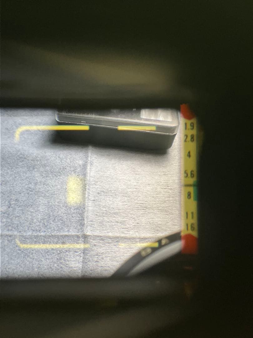 フィルムカメラ gakimatsu