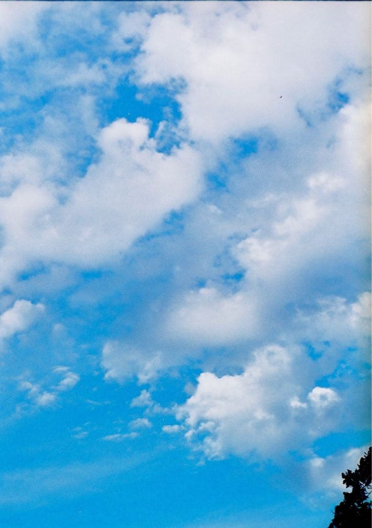 OLYMPUS オリンパス PEN-FT シルバー ボディ