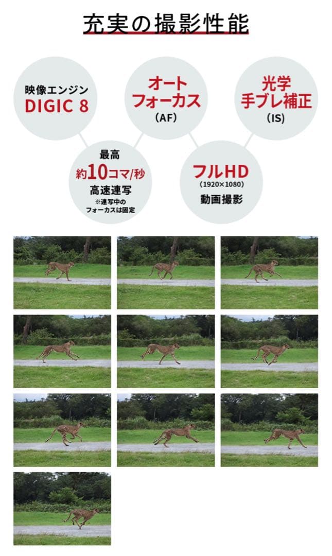 キャノン PowerShot ZOOM デジタルカメラ 美品 microSD付