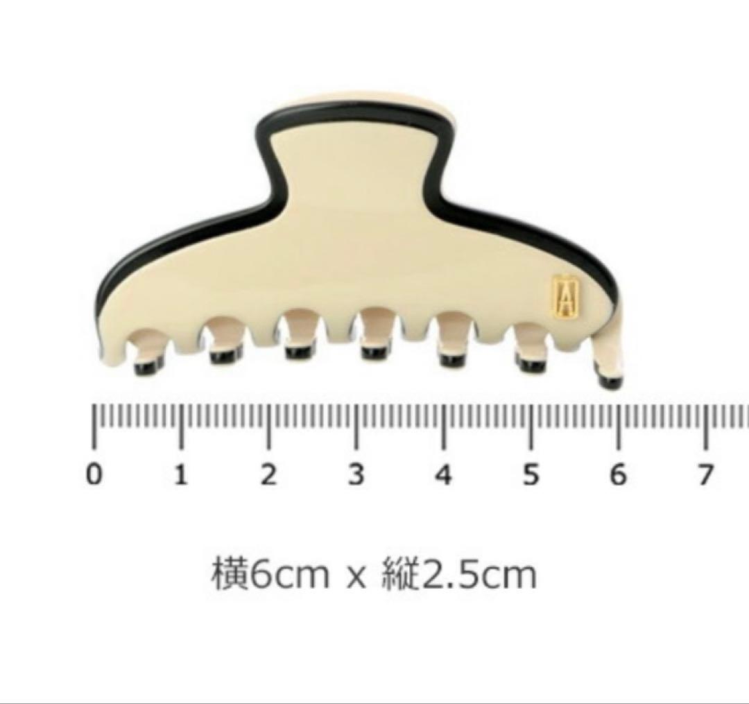 美品ALEXANDRE DE PARIS　ホワイト ブラック ヘアクリップ☆