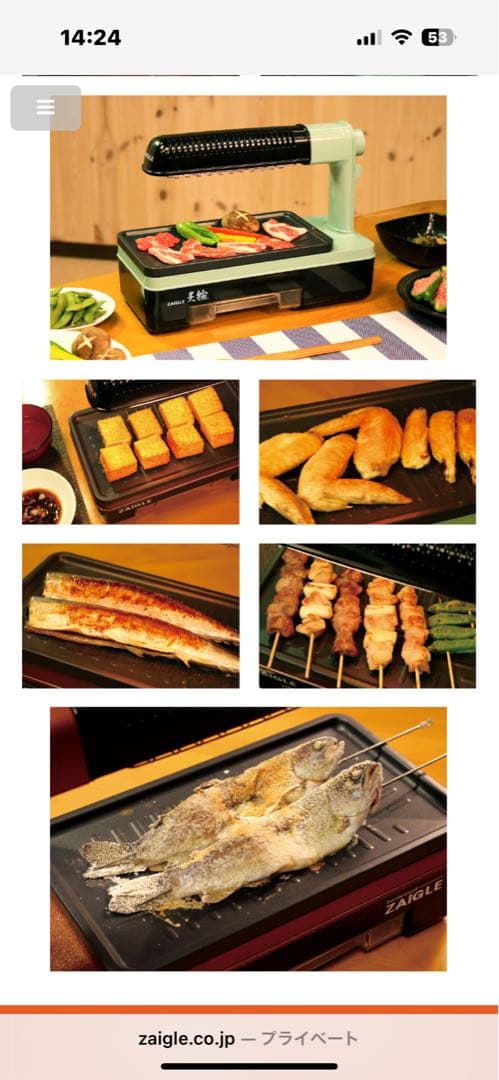 【お値下げ】ザイグル　炙輪　ゴールド　ワイドブレート2枚付き