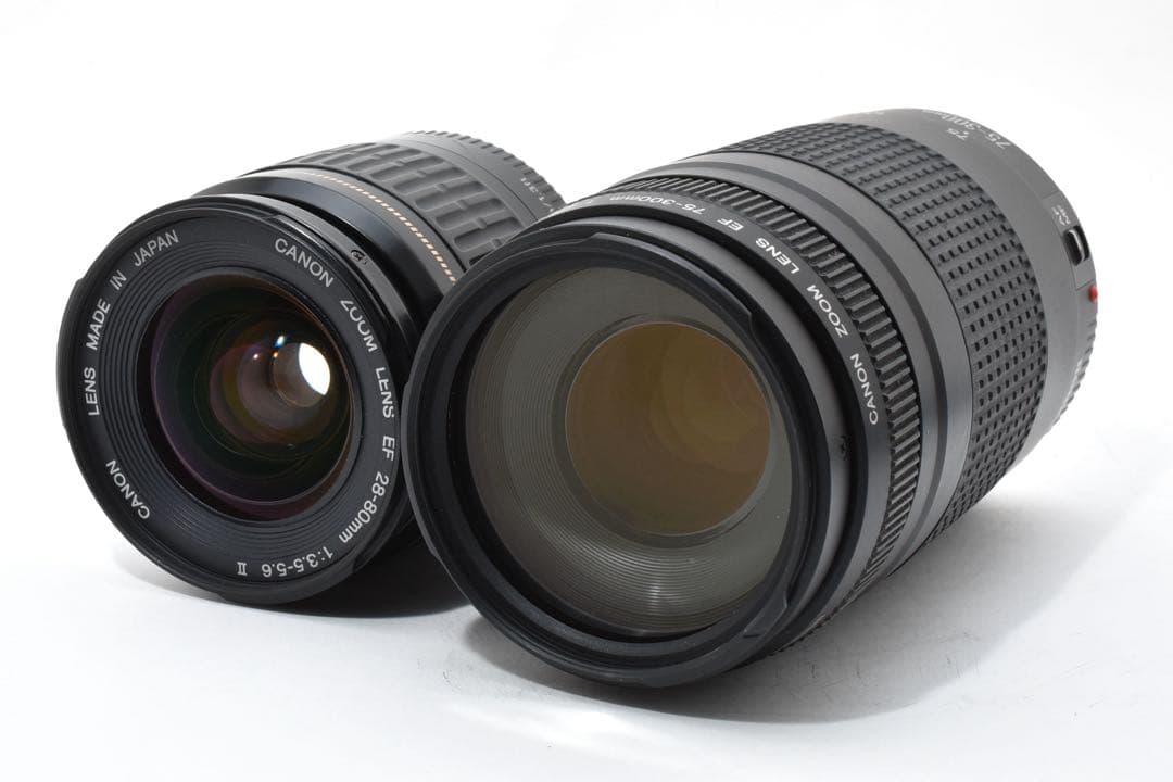 Canon EOS 5D mark III標準&望遠ダブルレンズセット