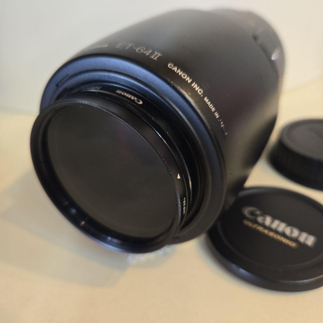 望遠レンズ/デジタル一眼レフカメラ/Canon EF75-300mm