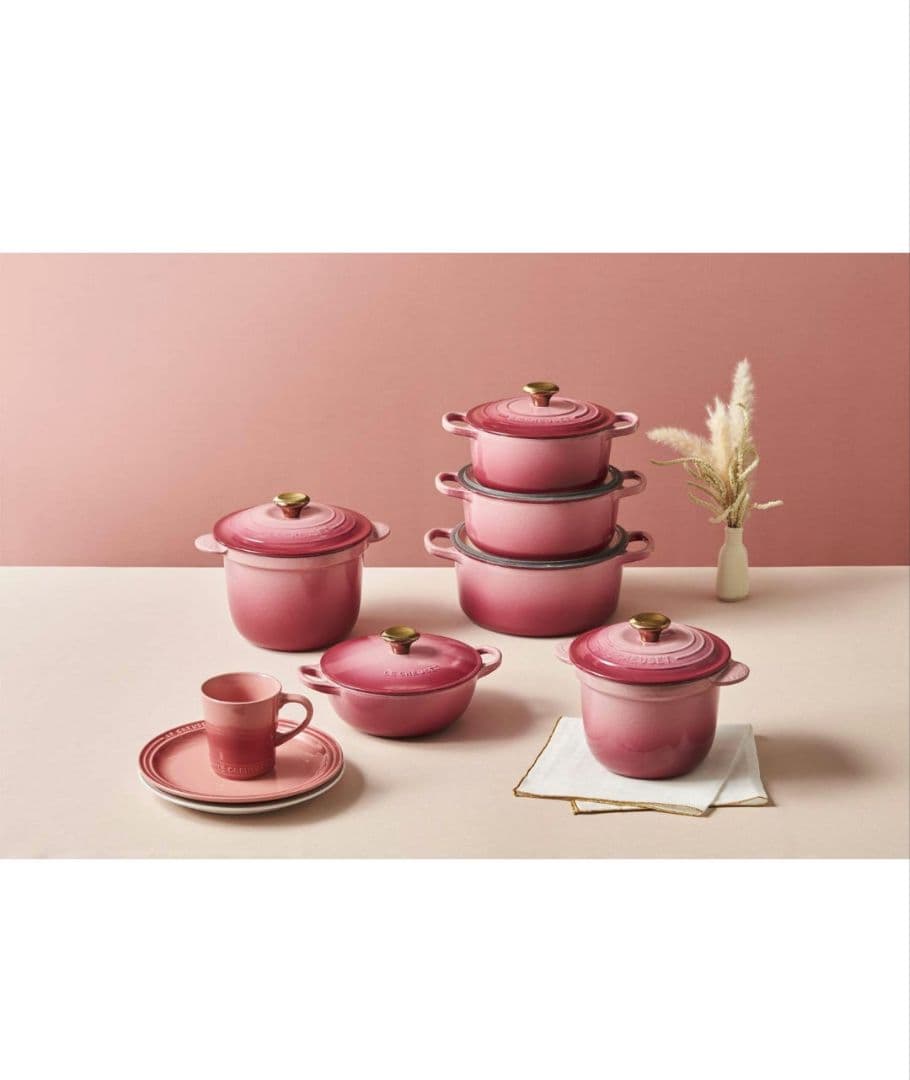 ル・クルーゼ) 鋳物 ホーロー 鍋 ココット・エブリィ 20 ベリー