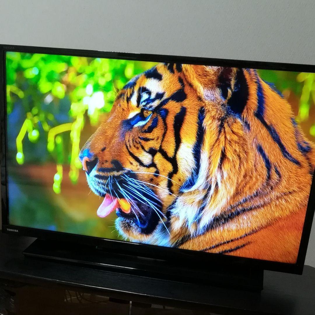 【Fire tv stick付属／すぐ視聴セット】2019年製　東芝 液晶テレビ