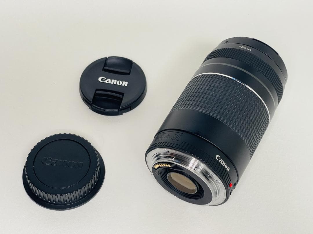 【完動品】 Canon EF 75-300mm F4-5.6 III 望遠レンズ