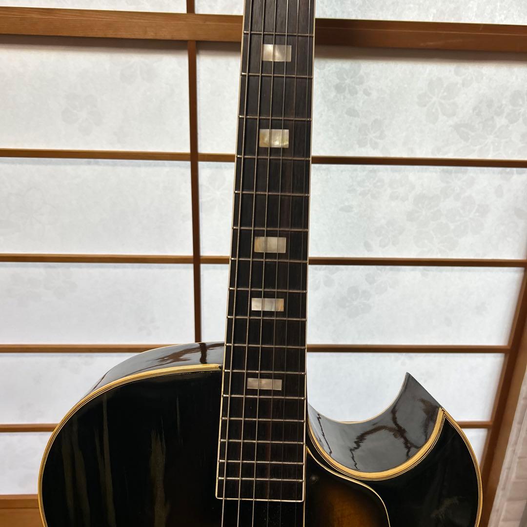 NARDAN NO.120　 ナルダンピックギター アーチトップ