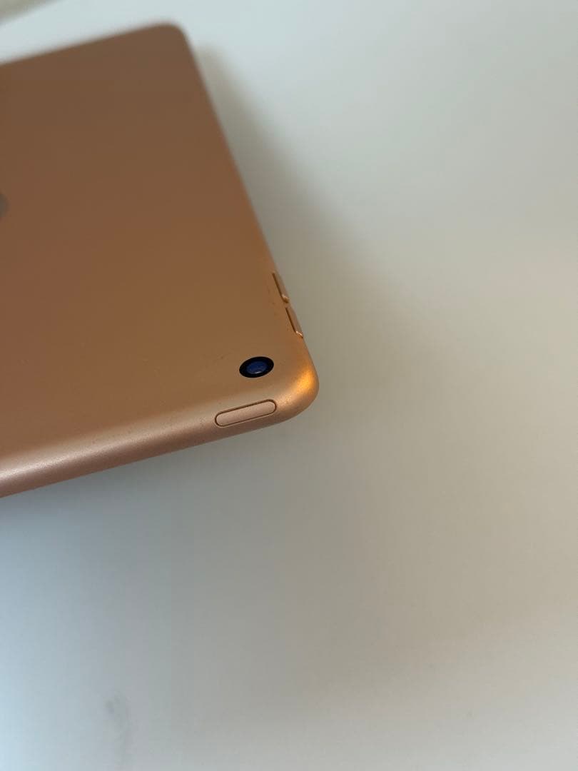 iPad mini 第5世代(ゴールド) 64GB バッテリー100%