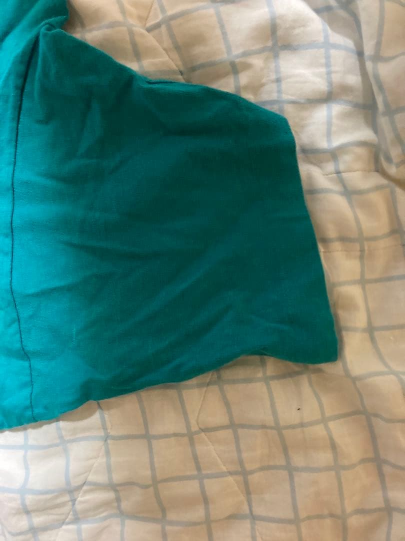 H-STREET Tシャツ santa cruz zorlac plan-b