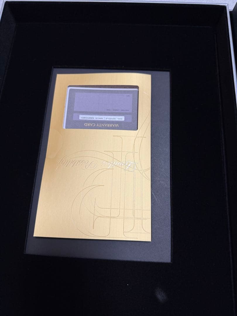 REPRONIZER 107D Plus ヘアドライヤー