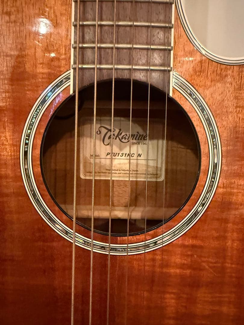 Takamine アコースティックギター PTU131KC N