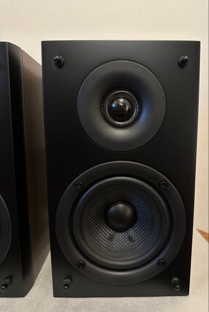 PioneerパイオニアスピーカーS-CN301-LR