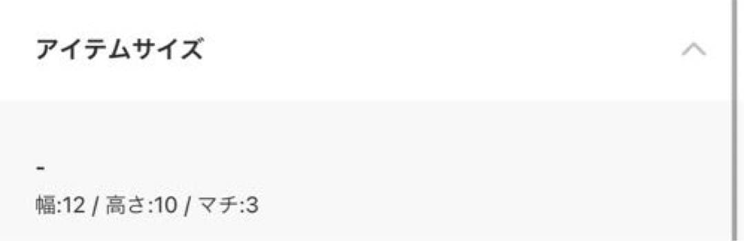 Ray BEAMS マルチ ミニ バッグ レイビームス