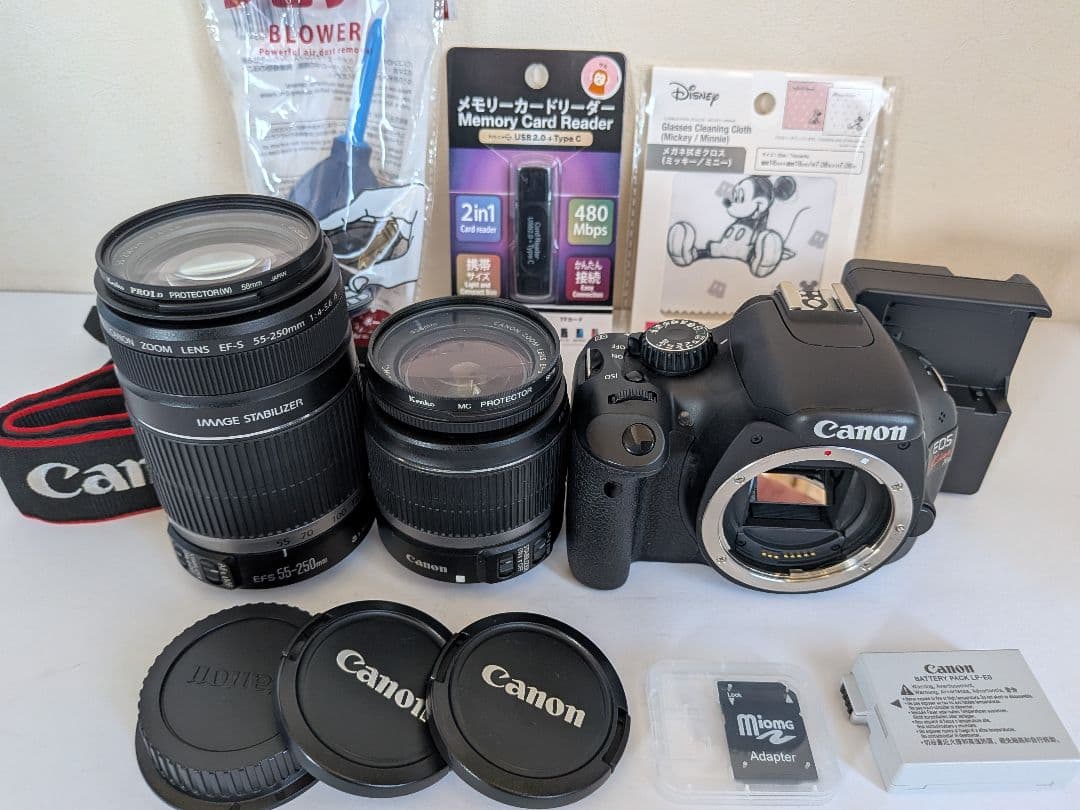 【ショット数 3286枚】Canon EOS kiss X4 ダブルレンズセット