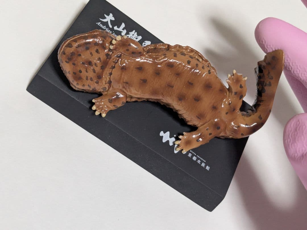 海洋堂 京都水族館限定フィギュア オオサンショウウオ