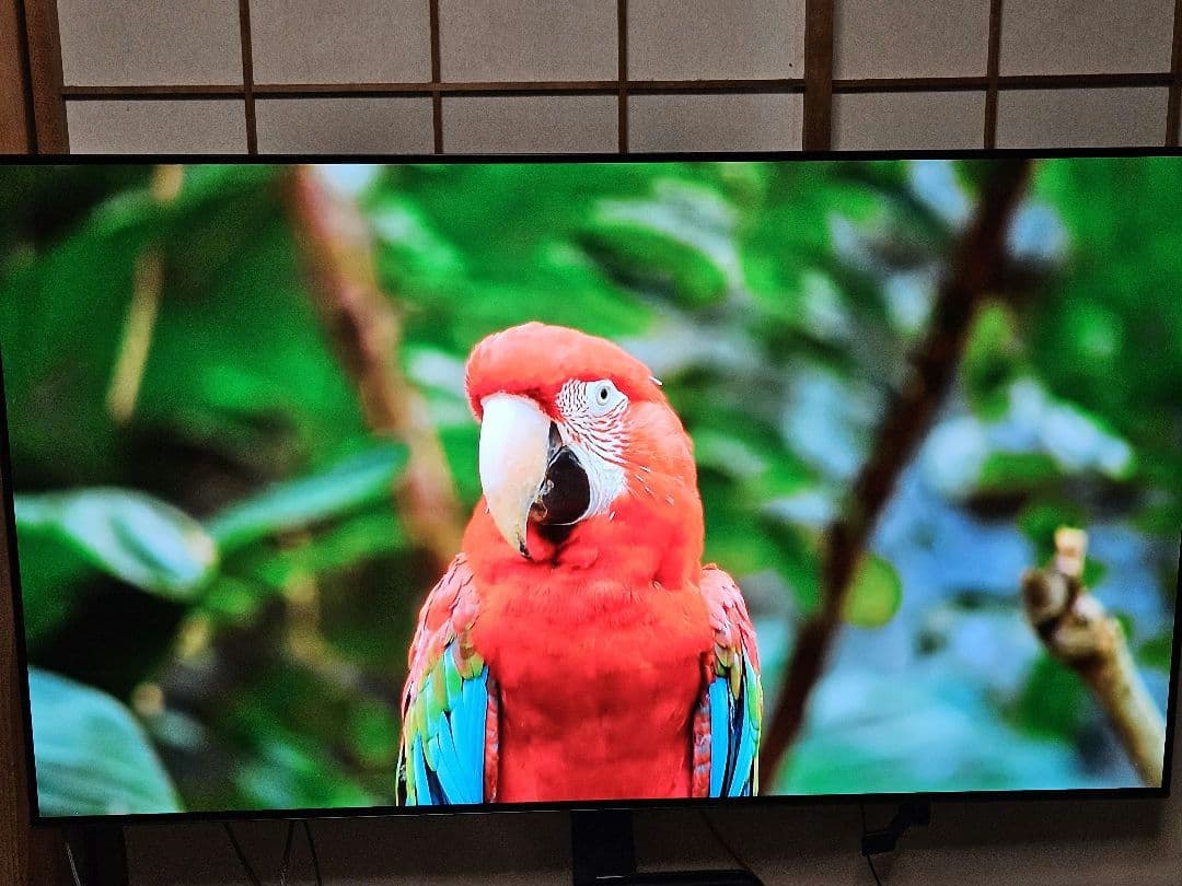 中古 LG 55型 有機EL TV 4Kチューナー内蔵 OLED 55BXPJA